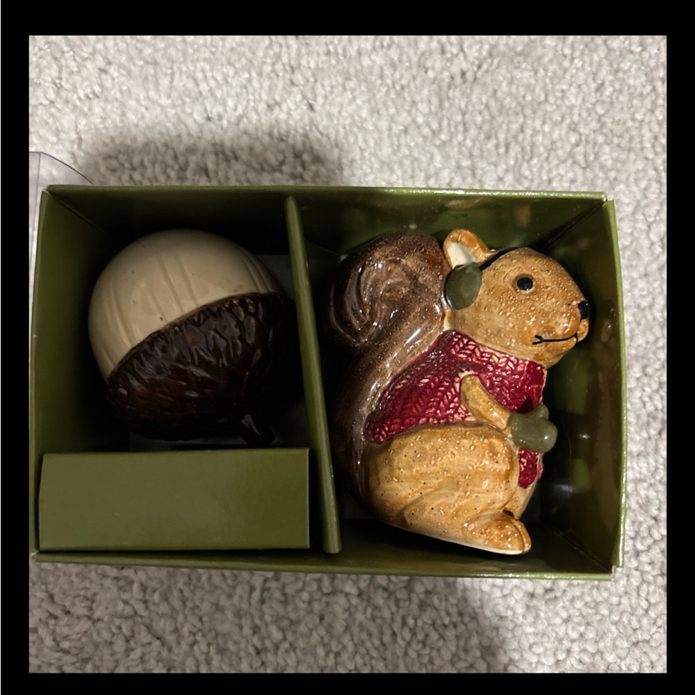 St Nicolas square squirrel 🐿️ and acorn salt and pepper shaker .
